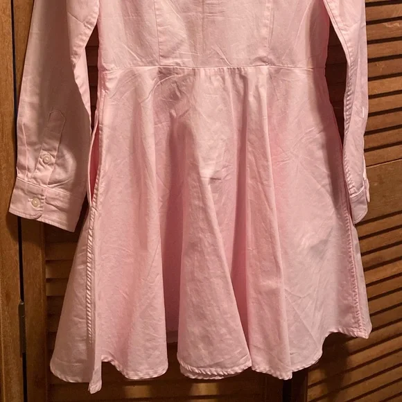 Ralph Lauren Pink Buttoned Collar Shirt Dress - Picture 12 of 13
